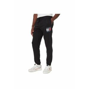 Pantaloni TJM SLIM RWB FLAGSWEATPANT-DM0DM22094-BDS imagine