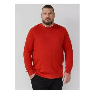 Big Sizes Bluza barbati big sizes cu decolteu la baza gatului - logo - Regular Fit - Caramiziu imagine