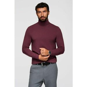 Bluza slim fit cu guler inalt - Visiniu imagine
