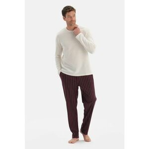 Pijama cu pantaloni lungi si dungi - Alb/Visiniu/Albastru ultramarin imagine