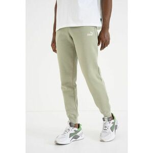 Pantaloni de trening cu logo ESS 2 - Verde deschis imagine