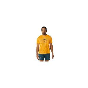 Tricou pentru barbati FUJITRAIL LOGO SS TOP - Portocaliu imagine