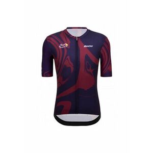 Tricou ciclism barbati Bordeaux imagine