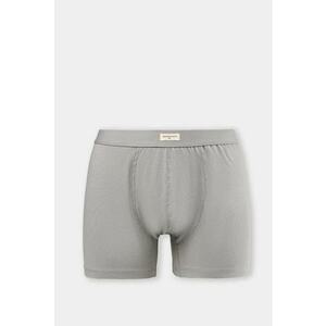 Lenjerie Intima De Barbati Modern Fit Cl1074939dwqf - Gri imagine