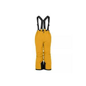 Pantaloni schi copii Wear - galben - impermeabili - respirabili - marimea 110 EU imagine