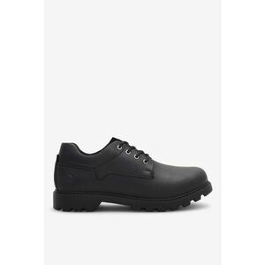 Pantofi barbati 5905588049937 - Piele naturala - Negru - Negru imagine