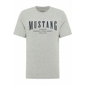 Tricou barbati Style Alex - gri - bumbac - regular fit - Marime imagine