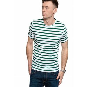 Tricou barbatesc ALEX C Y/D STRIPES - multicolor - bumbac - regular fit - Marime imagine