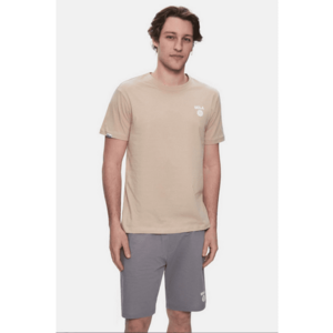Tricou regular fit - decolteu la baza gatului - imprimeu cu logo - Bej - BASS - Bej imagine