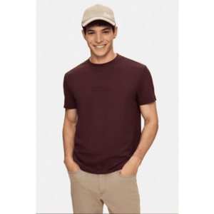Tricou regular fit - decolteu la baza gatului - imprimeu cu logo - Rosu - CANARY imagine