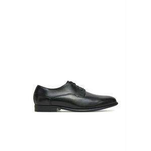 Pantofi barbati - piele naturaladwqfwq imagine