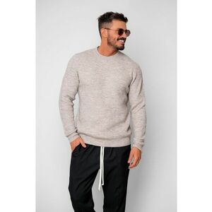 Pulover barbati Beige 19894 - Bej imagine