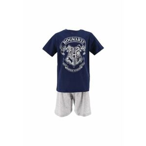Pijamale scurte copii Harry Potter gri/albastru 10 ani imagine