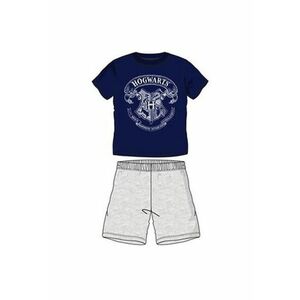 Pijamale scurte copii Harry Potter gri/albastru - Multicolor imagine
