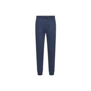 Pantaloni de trening barbati - Bumbac - Logo Brodat 2130 - Albastru imagine
