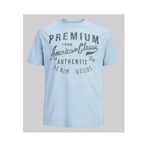 Plus Tricou barbati big sizes - cu decolteu la baza gatului si imprimeu cu text - Albastru deschis imagine