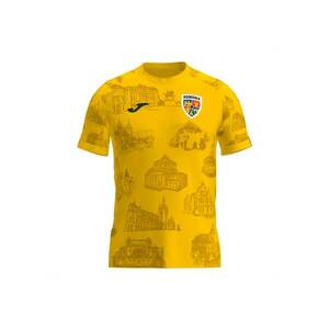 Tricou oficial de incalzire maneca scurta nationala Romaniei AH10601B2101 - 116 CM - Galben imagine