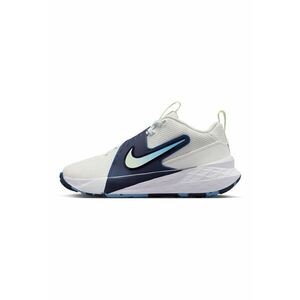 Pantofi Team Hustle D 12 pentru baschet imagine