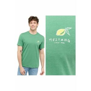 Tricou Barbati - Austin - Regular Fit - Maneca Scurta - Decolteu Rotund - Cu Logo - Bumbac - Design Clasic - S INTL - Verde imagine