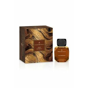 Apa de Parfum Unisex Maison de l’Avenir Oud Intense - Aura Collection - 100 ml imagine