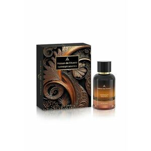 Apa de Parfum Unisex Maison de l’Avenir Midnight Solstice - Zenith Collection - 100 ml imagine