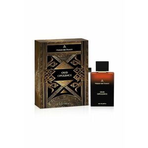 Apa de Parfum Unisex Maison de l’Avenir Oud Opulence - Supernova Collection - 100 ml imagine