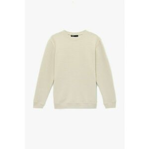 Bluza regular fit de trening cu striatii - Crem imagine