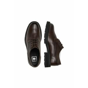 Pantofi barbati - EO-DEXTER-06 - piele naturala - maro - imagine
