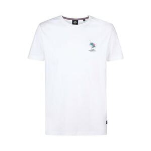 Tricou barbat - alb - bumbac imagine