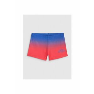 de Baie Boxer - 46745 imagine