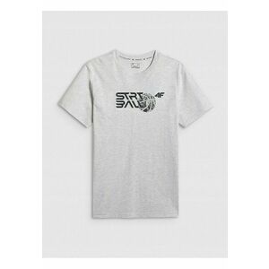 Tricou barbati - gri - regular - cu imprimeu imagine