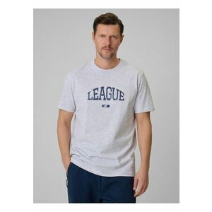 Tricou barbati - gri - bumbac - cu imprimeu imagine