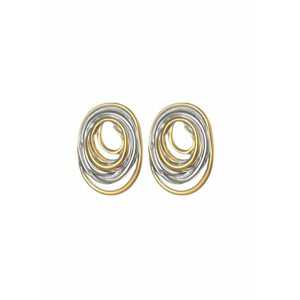 Cercei Bicolor Inox 6027 - Argintiu/Auriu imagine