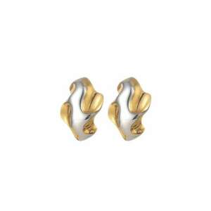 Cercei Bicolor Inox 6028 - Argintiu/Auriu imagine