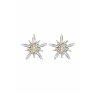 Cercei Eleganti 5788 - Transparent imagine